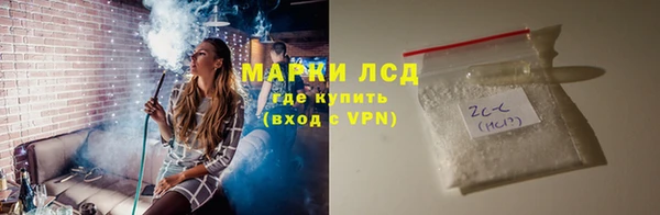 ГАЛЛЮЦИНОГЕННЫЕ ГРИБЫ Корсаков