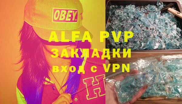 ГАЛЛЮЦИНОГЕННЫЕ ГРИБЫ Корсаков